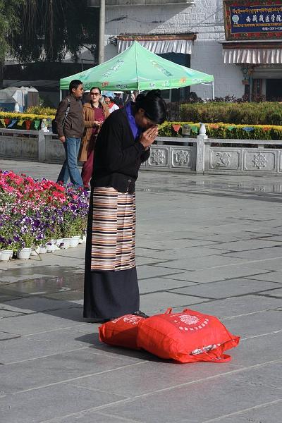 012 A sincere follower.jpg